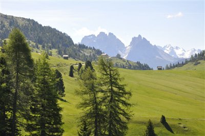 Plätzwiese